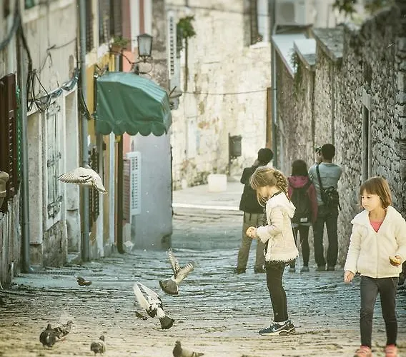 아파트 Art Kuca Cvajner 풀라