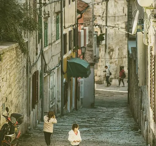 Art Kuca Cvajner 풀라